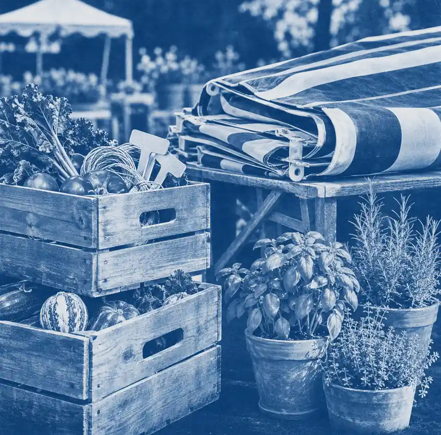 Illustration of seasonal businesses equipment and workspace